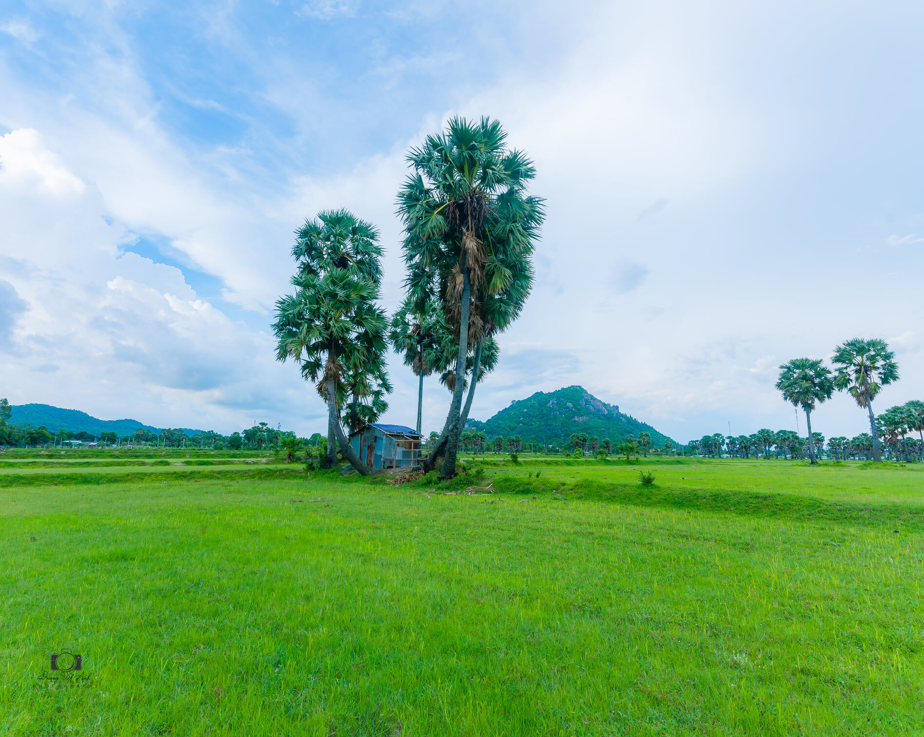 Capture the authentic charm of Vietnam’s cultural scene